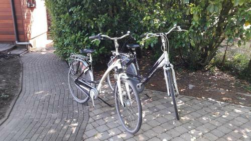 Natuur, Comfort, Rust, Mooie Omgeving ( Amsterdam Circa 1 Uur)