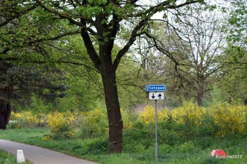 Huinerhofje 2
