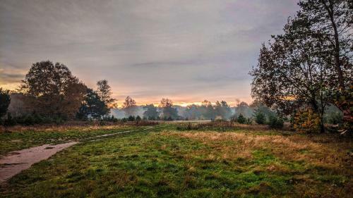 Chalet Op De Veluwe # Beuk
