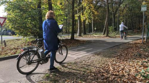 Chalet Op De Veluwe # Beuk