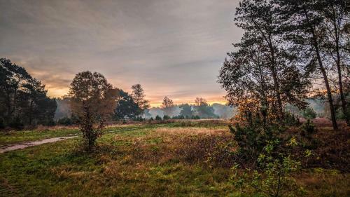 Chalet Op De Veluwe # Beuk