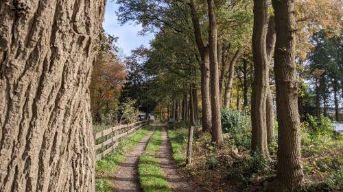 Chalet Op De Veluwe # Eiken