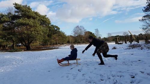Chalet Op De Veluwe # Eiken