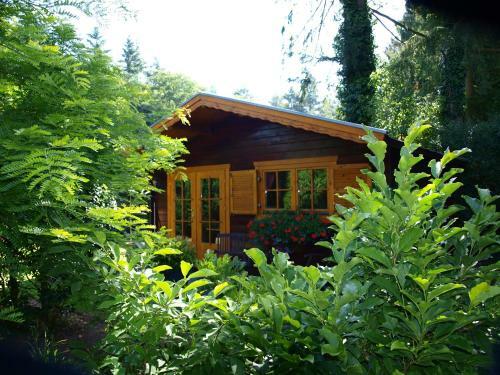 Bed En Breakfast Putten