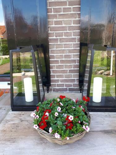 B&B de Meidoornhof