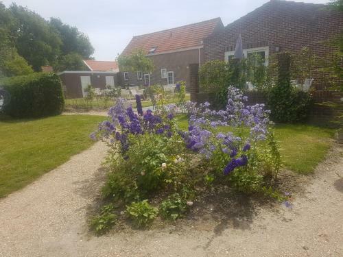 Camping 7huizen Aan Zee