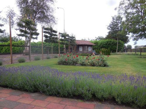 Bed & Breakfast B & B " De 7 Sprong "