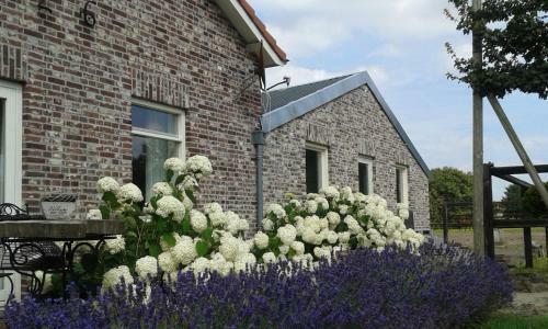 Bed & Breakfast B & B " De 7 Sprong "