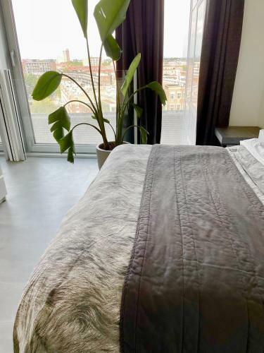 Apartamento City Vibes