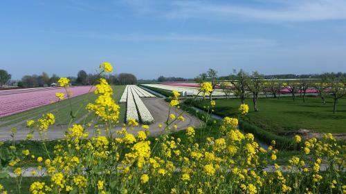 Vakantiehuis Duin Bos En Zee