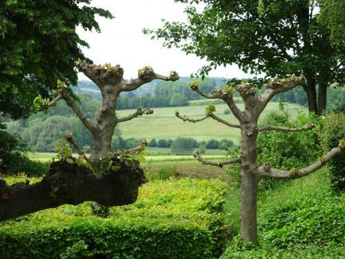 Bungalowpark Simpelveld 97