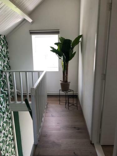 Huisje Op Den Diek