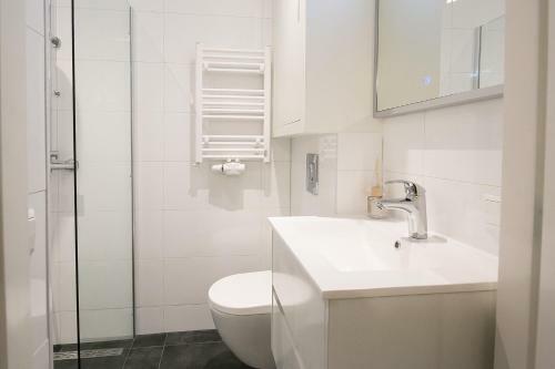 Four Star Apartments - Badhuisstraat