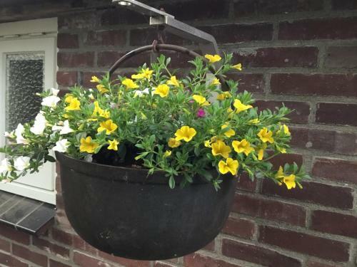 B&B Op 't Eikenschoor