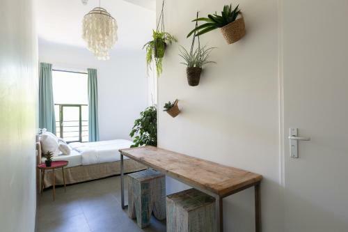 Pink Flamingo Boutique Hostel