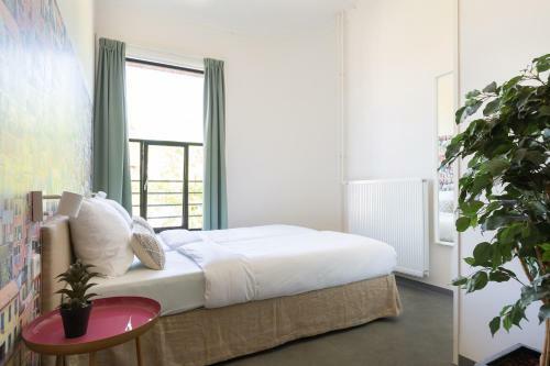 Pink Flamingo Boutique Hostel