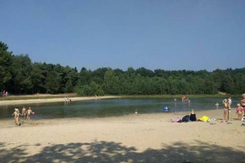 Drentse Bungalow In Natuur En Rust