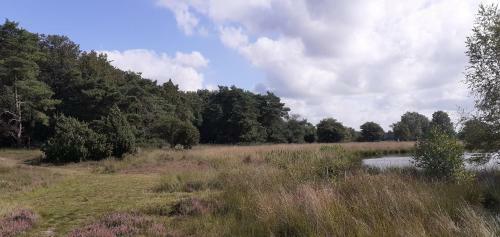 Drentse Bungalow In Natuur En Rust