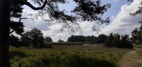 Drentse Bungalow In Natuur En Rust