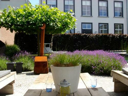 Guesthouse With Private Jacuzzi And Sauna