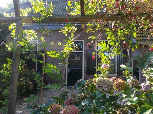 Farmhouse de Hoeve B&B Apartment