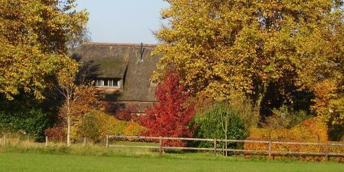 Farmhouse de Hoeve B&B Apartment