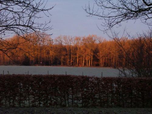 Farmhouse de Hoeve B&B Apartment