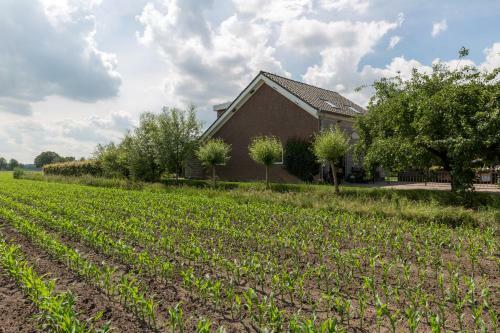 Bed & Breakfast de Nieuwe Warande