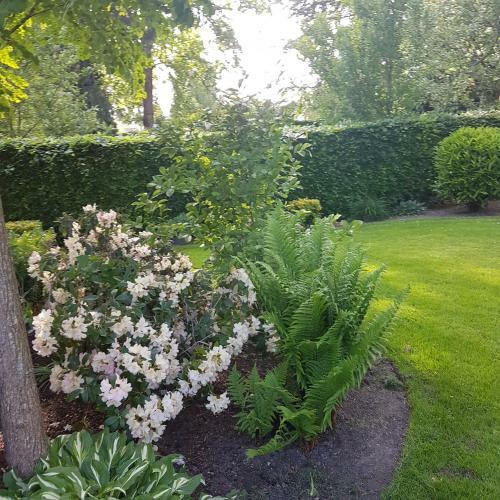 B&B Mooie Tuin In Twello