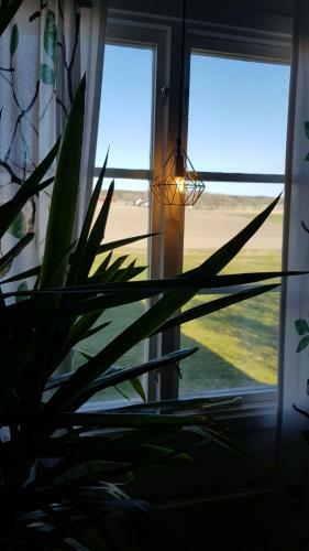 Hostal S�rg�rden