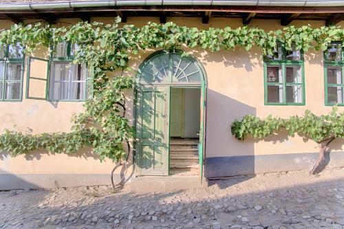 Experience Transylvania M?l�ncrav 335