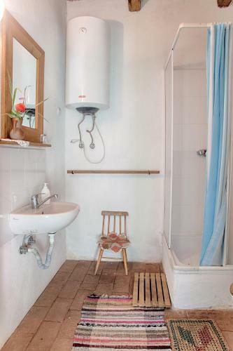 Experience Transylvania M?l�ncrav 335