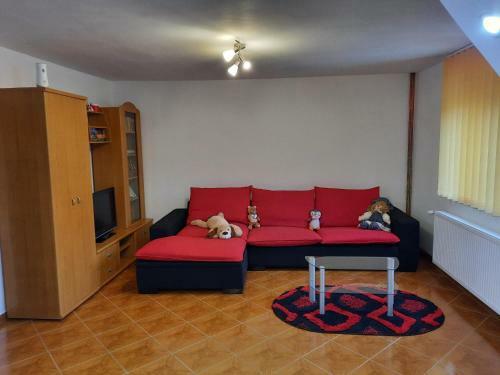 Casa Alex