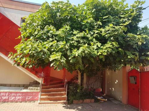 Hostal Pensiunea Victoria