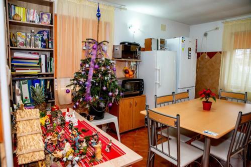 Hostal Pensiunea Victoria