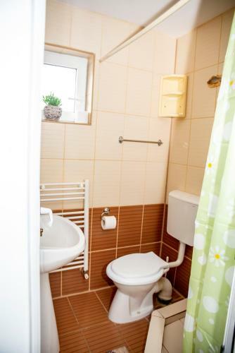 Hostal Pensiunea Victoria