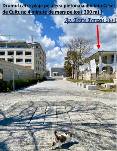 Apartament Toate Panzele Sus