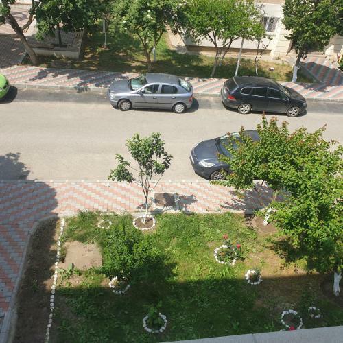 Apartamento Rozelor