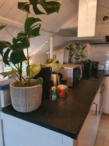 Apartamento Lugnets Hotell�genhet