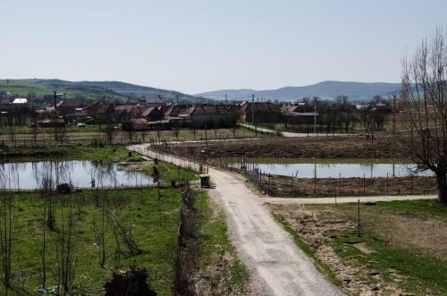 Hostal Pensiunea La Noru