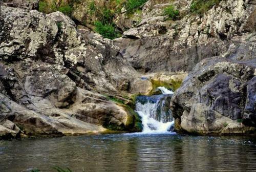 Agroturismo Casa Cu Flori