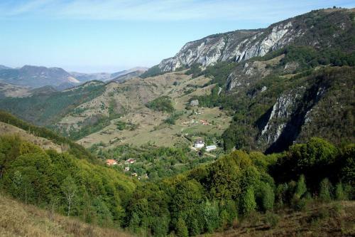 Agroturismo Casa Cu Flori