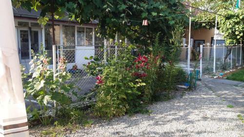Cazare La Tara �n Mandra, Jud Brasov