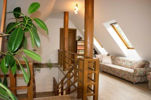 Hostal Fodor H�z