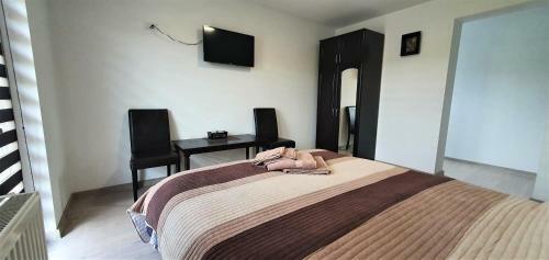 Hostal Bukovina Blue
