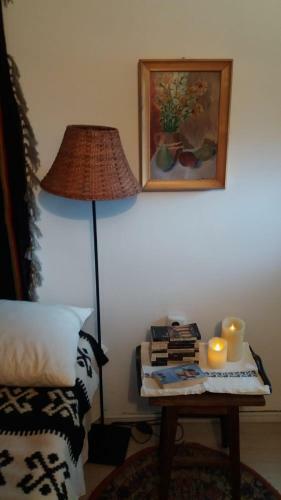 Pintea Cottage - Bucovina