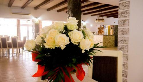 Hostal Pensiunea Danubio