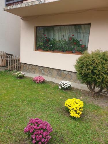 Hostal Pensiunea Bradul,moieciu de Sus