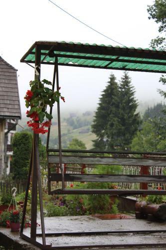 Hostal C?su?a De L�ng? P?dure