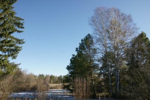 Bj�rkholm - Villa In M�lilla